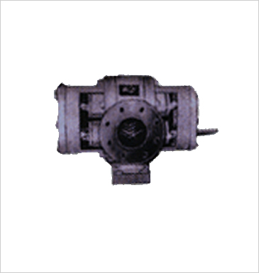 Gear Pump APX <br>(Ext. Bearing)